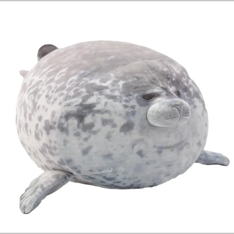 Ollie your emotional shelter