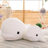 Ellie your emotional shelter