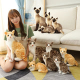 Sunny your soft spoken voice