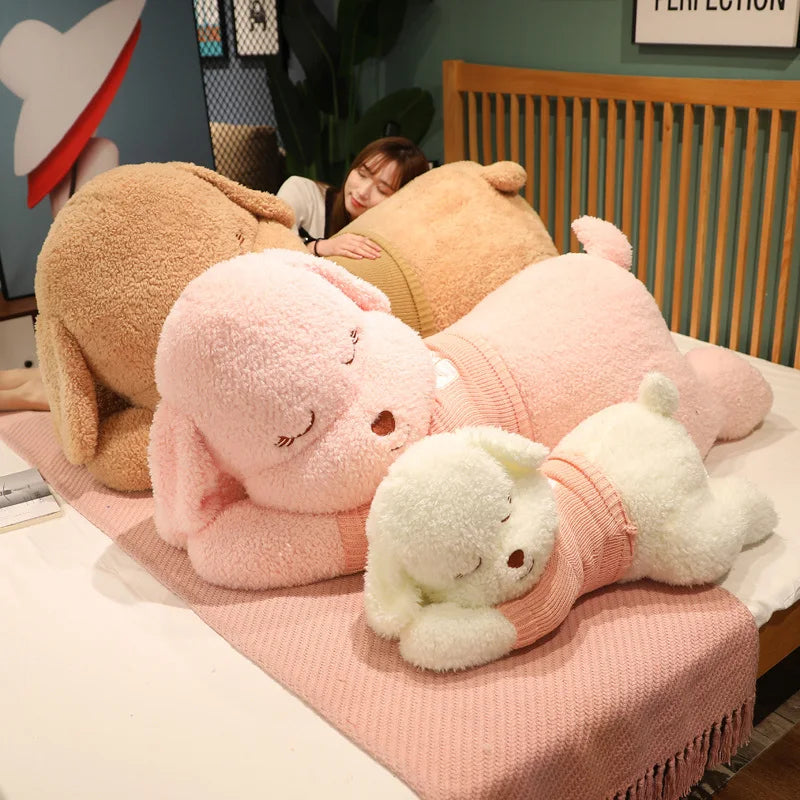 Tali your gentle companion