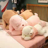 Tali your gentle companion