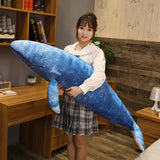 Theo your steady light