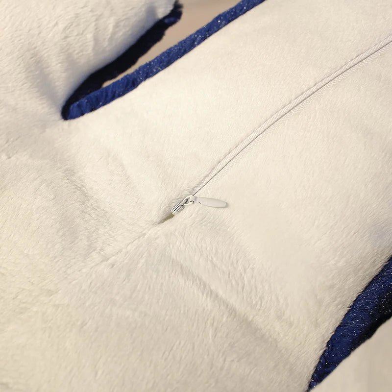 Leo your steady light