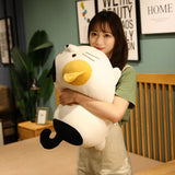 Kiwi your bedtime buddy