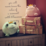 Neko your gentle companion