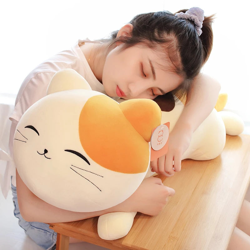 Neko your gentle companion
