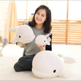 Ellie your emotional shelter