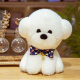 Vivi your steady light