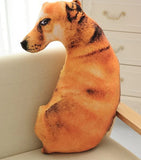 Dot your bedtime buddy