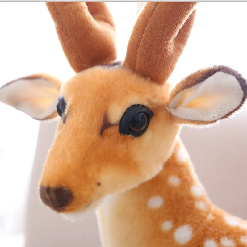 Blu your quiet anchor