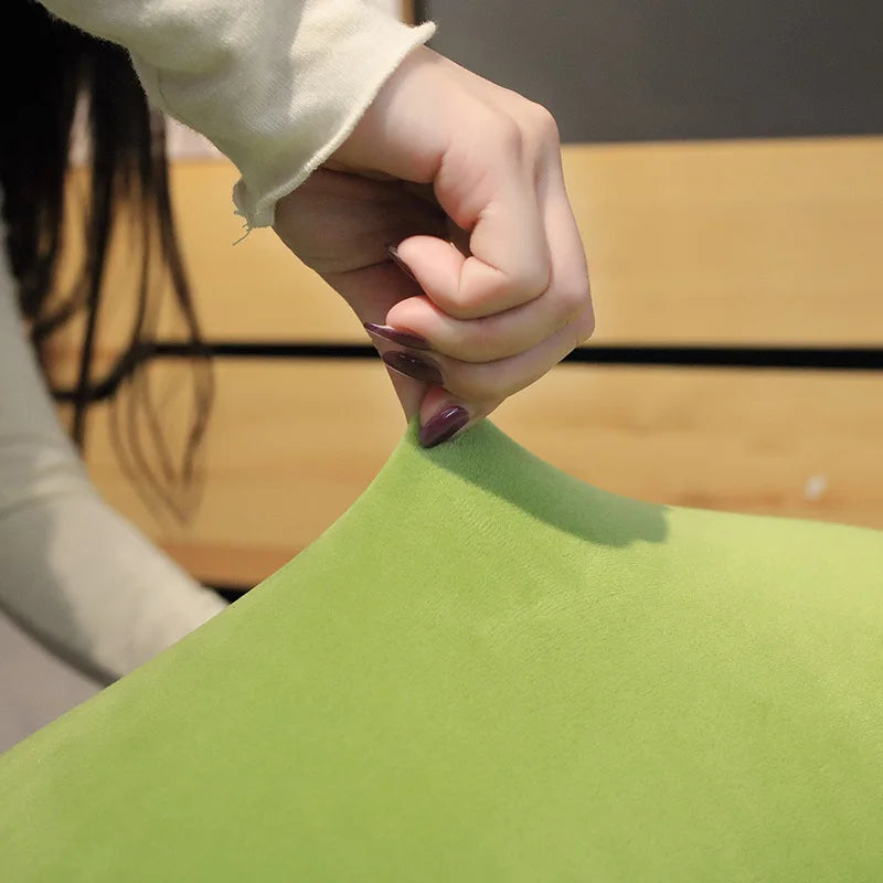 Sage your gentle companion