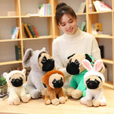 Sage your emotional shelter