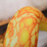 Tomo your secret keeper