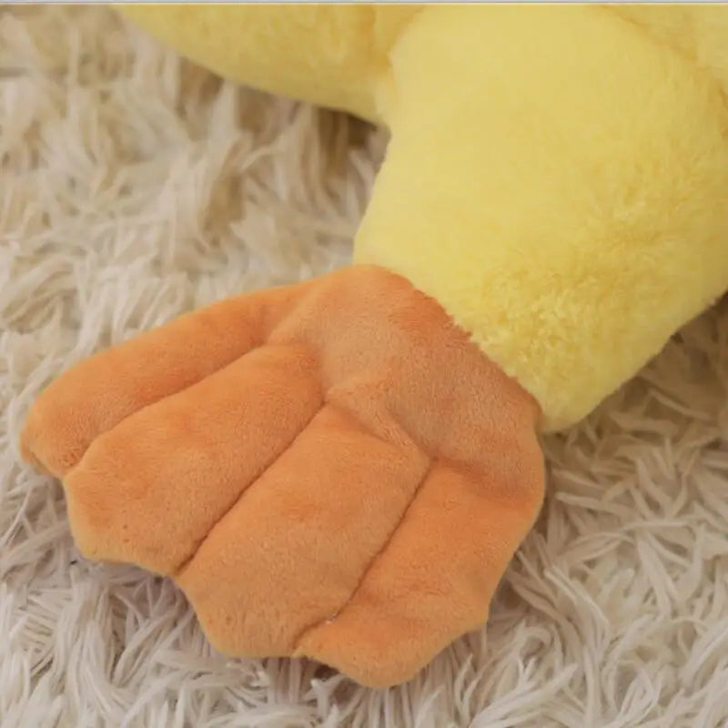 Cammie your bedtime buddy