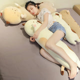 Wren your quiet anchor