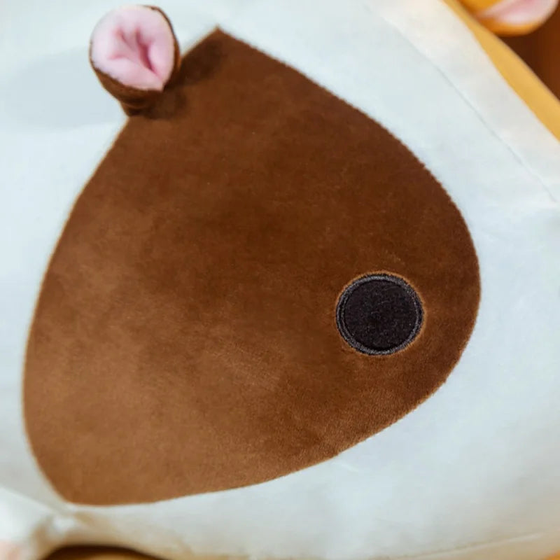 Sprout your quiet anchor