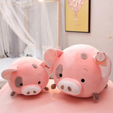 Ash your gentle companion