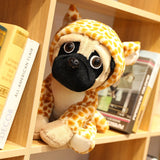 Sage your emotional shelter