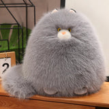 Ollie your gentle companion