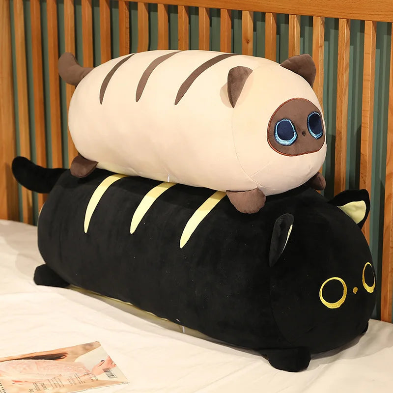 Maple your quiet anchor