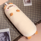 Nomi your gentle companion