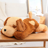 Boo your soft spoken voice