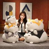 Milo your quiet anchor