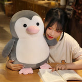 Sage your emotional shelter