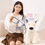 Fig your steady light