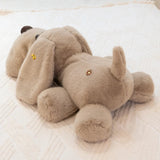 Daisy your brave friend