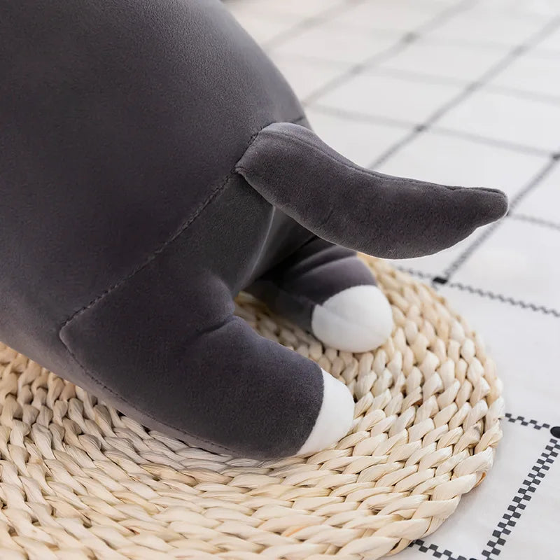 Tali your gentle companion