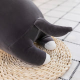 Tali your gentle companion