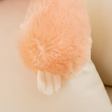 Sage your emotional shelter