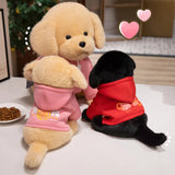 Leo your emotional shelter