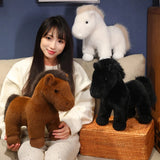 Nomi your emotional shelter