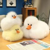 Fig your gentle companion