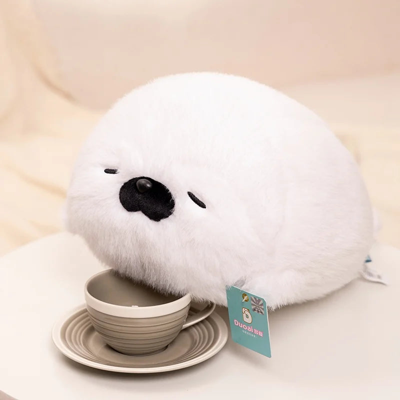 Fern your quiet anchor