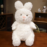 Cloud your bedtime buddy