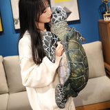 Ollie your steady light