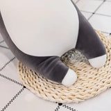 Tali your gentle companion