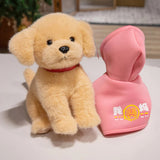 Leo your emotional shelter