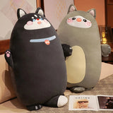 Cammie your secret keeper