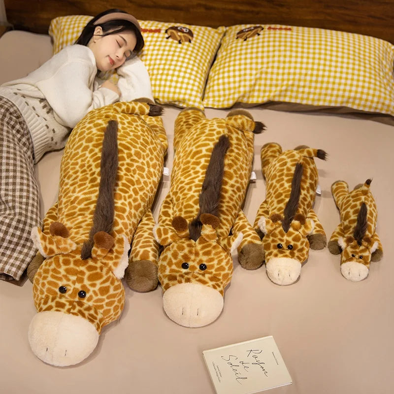 Binky your emotional shelter