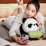 Nomi your steady light