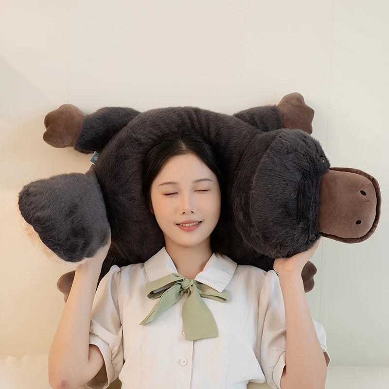 Sunny your bedtime buddy