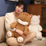 Fig your emotional shelter