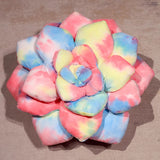 Rue your secret keeper