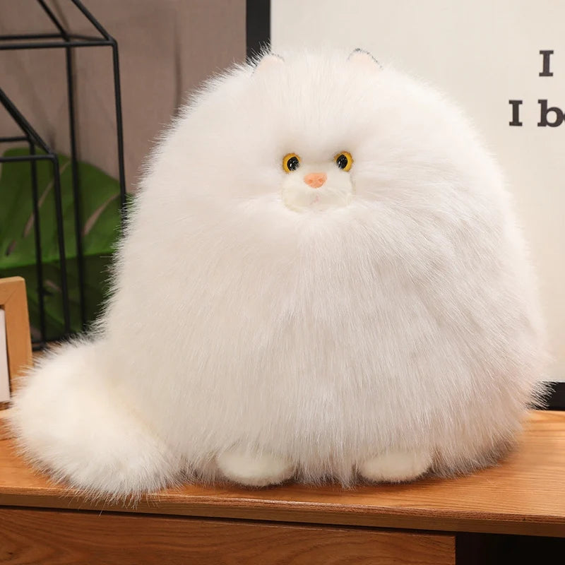 Ollie your gentle companion