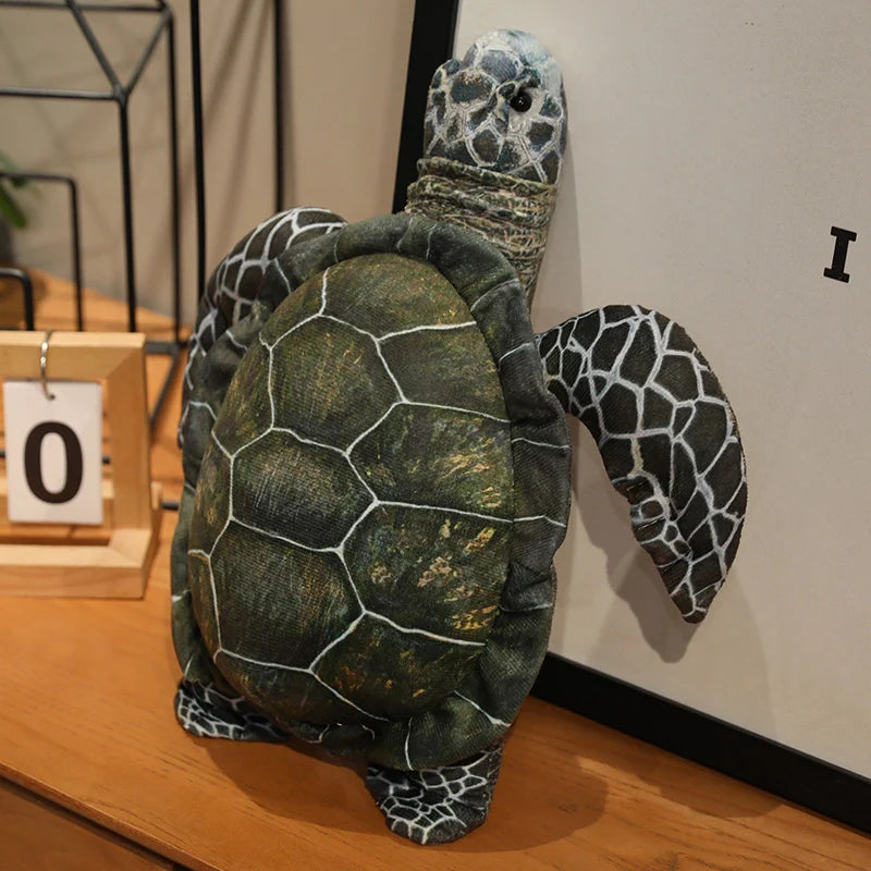 Ollie your steady light