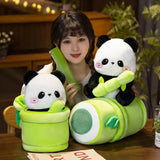 Pebble your steady light